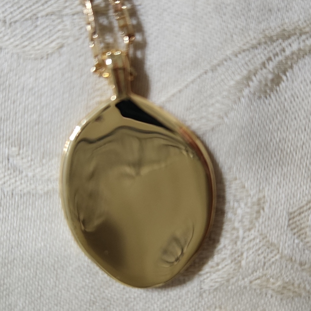 Jenny Bird Gold Tone Necklace with Cream Pendant - Picture 4 of 5